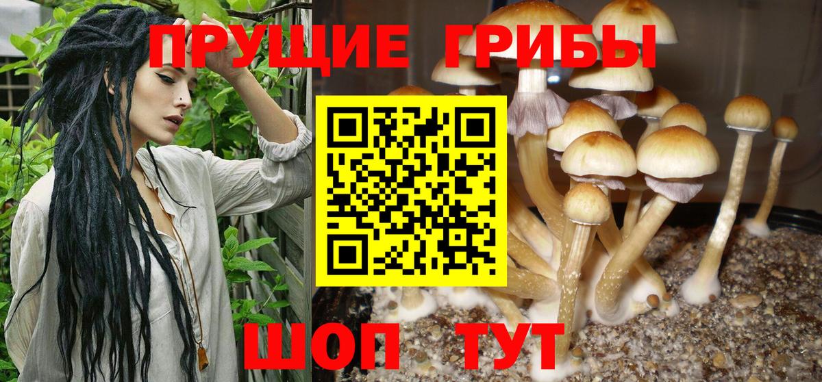 Печора  Галлюциногенные грибы GOLDEN TEACHER  Вход с VPN 