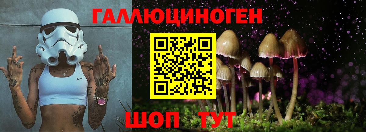Галлюциногенные грибы мухоморы Печора